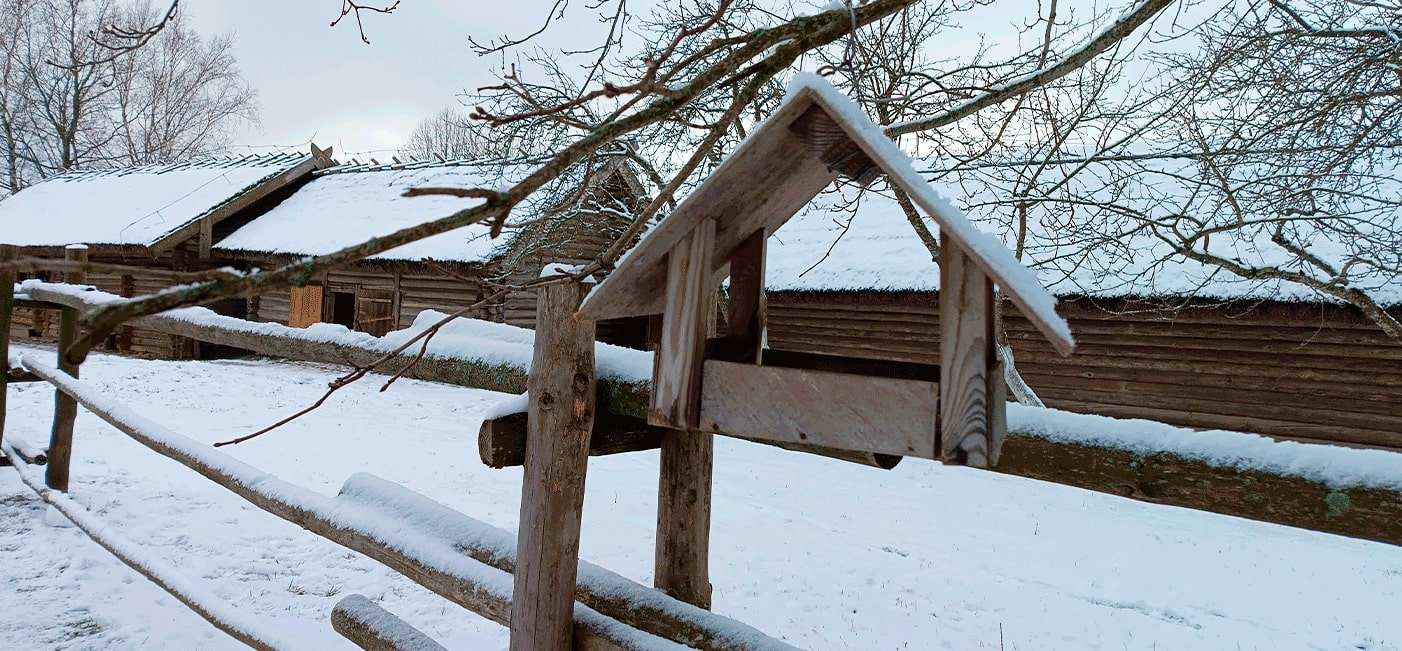 О работе музея 31 декабря 2025 и 1 января 2026 года