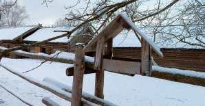 О работе музея 31 декабря 2025 и 1 января 2026 года