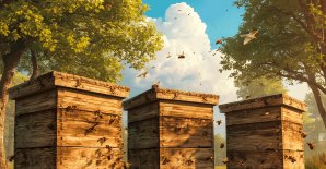 Акция «Совершенно бесплатно - крестьянские ремесла!»