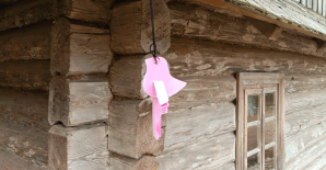 «Отдых в Музее: семейный билет»