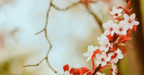 Приглашаем на праздник весны со скидкой